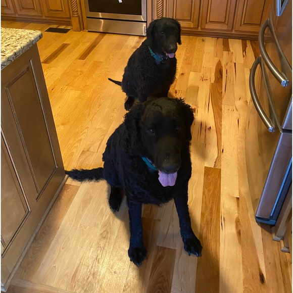 Meet your Posher, Mary - Picture 3 of 5